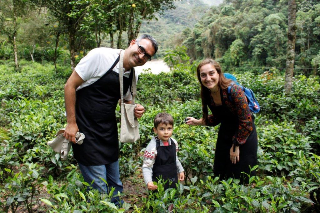 Inkaterra Machu Picchu Pueblo tea plantation