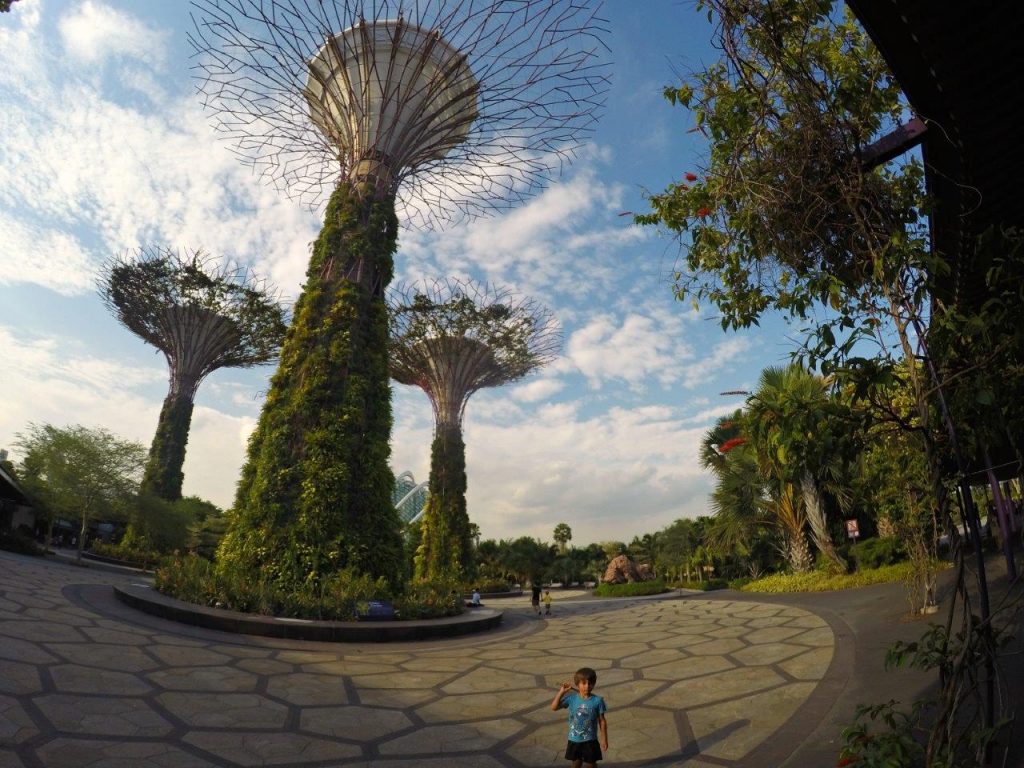 The Supertrees at Gardens by the Bay in Singapore
