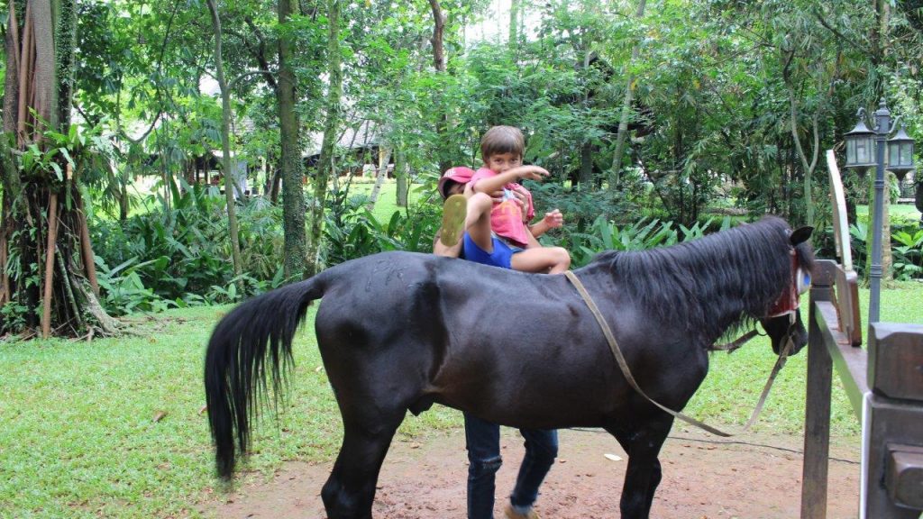 Noah even got to ride a small pony at the Novotel Bogor Golf Resort & Convention Center