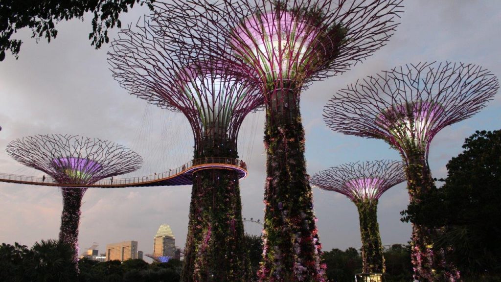 Supertrees at Gardens by the Bay in Singapore at night