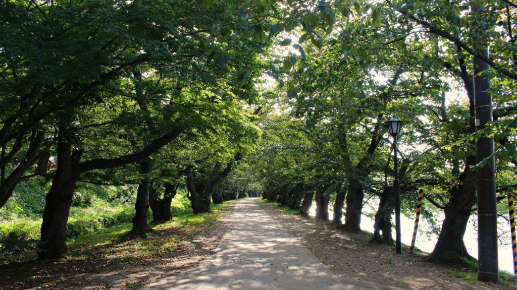 The gardens of Hirosaki Park and Hirosaki Castle are simply beautiful