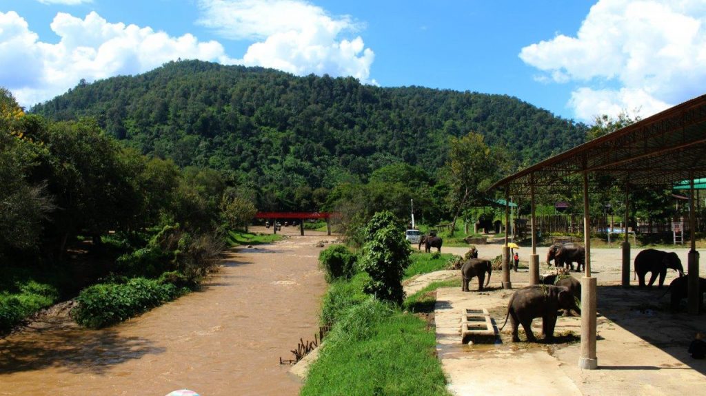 Elephant camp in Chiang Mai