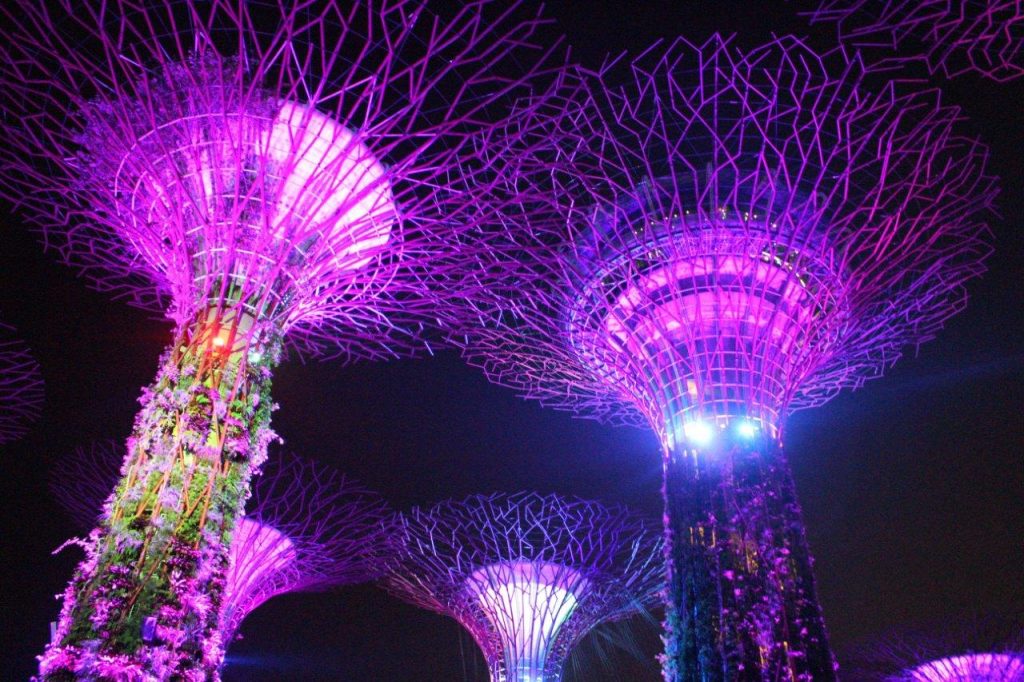 Supertrees at Gardens by the Bay in Singapore lit at night, during the show Garden Rhapsody