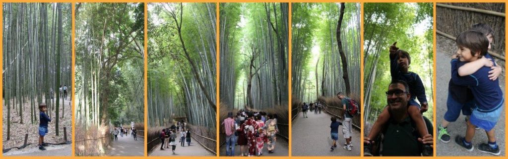 bambooforestcollage